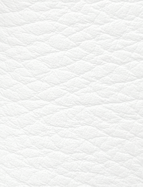 Mimi di N Kissing Fishes silver Vintage Buckle, circa. 1976 - Animal Collection