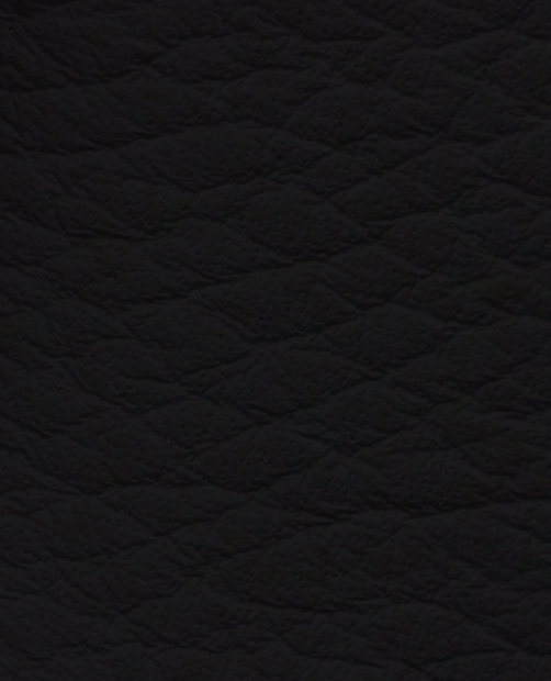 Sand Dollar Vintage Buckle, circa. 1974 - by Mimi di N  - Sea Shells Collection