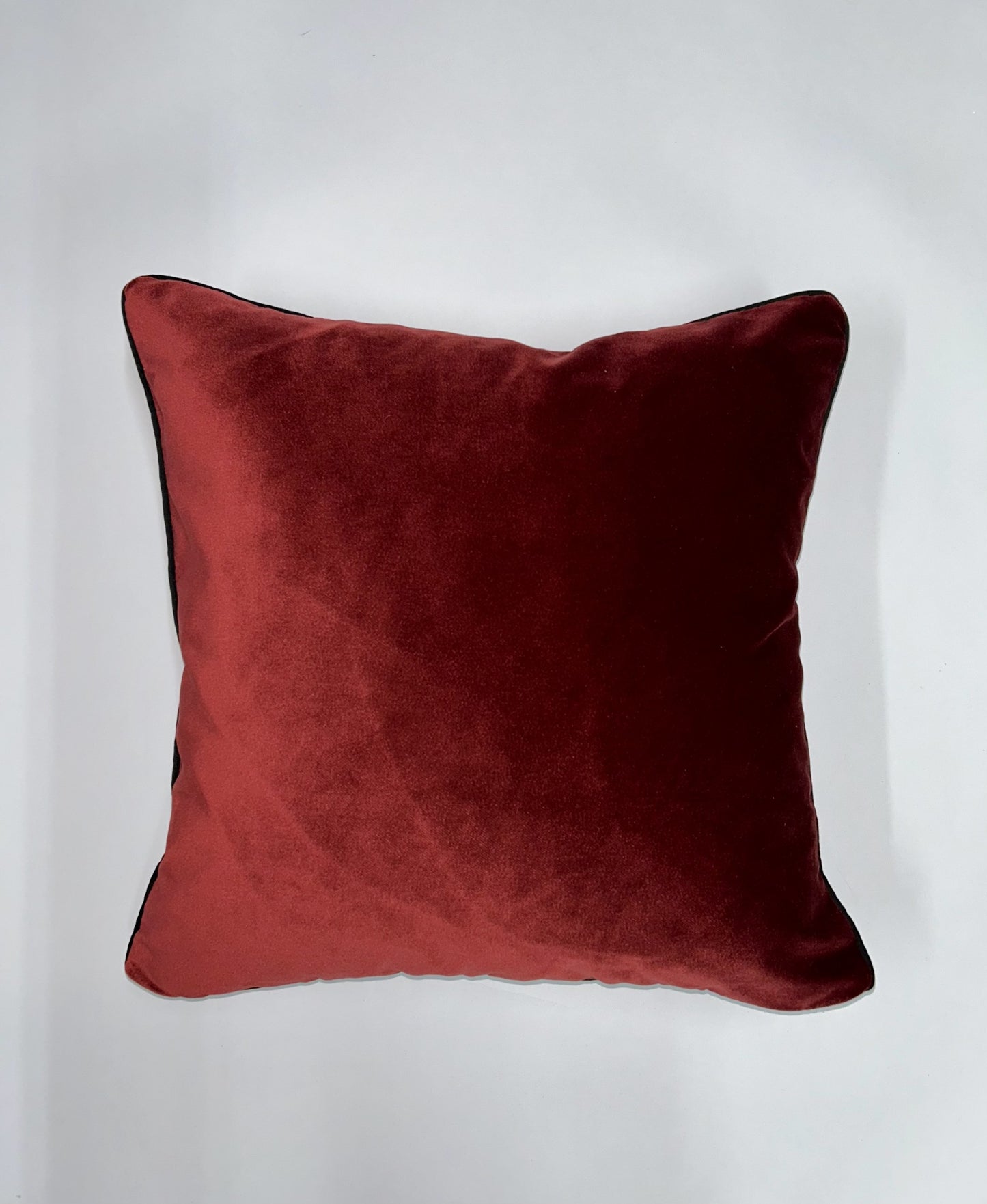 Gucci velvets decorative- 2 Pillow Cases,